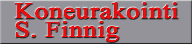 sfinnig_logo.jpg